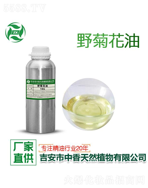 ����Ұ�ջ���