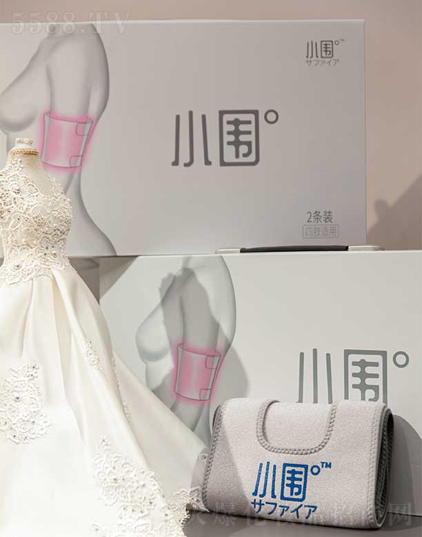 �Ͼ���������Ƽ����޹�˾��С������֫��