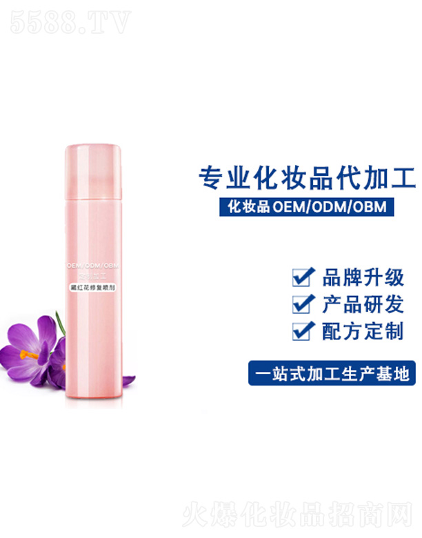 �ؼt���ޏ�(f��)����