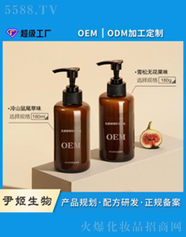 ���������w��