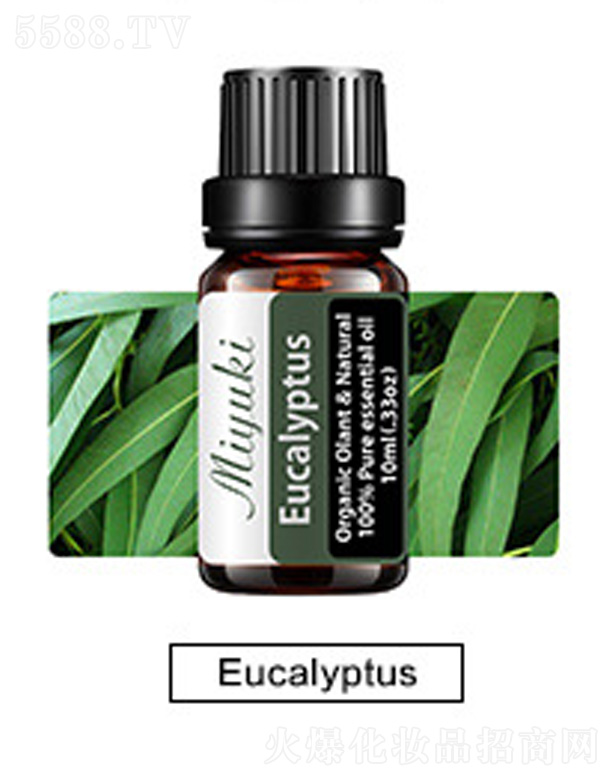 �o(h��)�w��޹��Ħ��-Eucalyptus���(sh��)