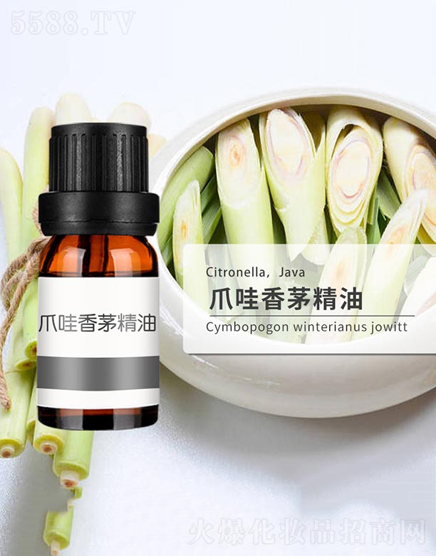 צ����é����