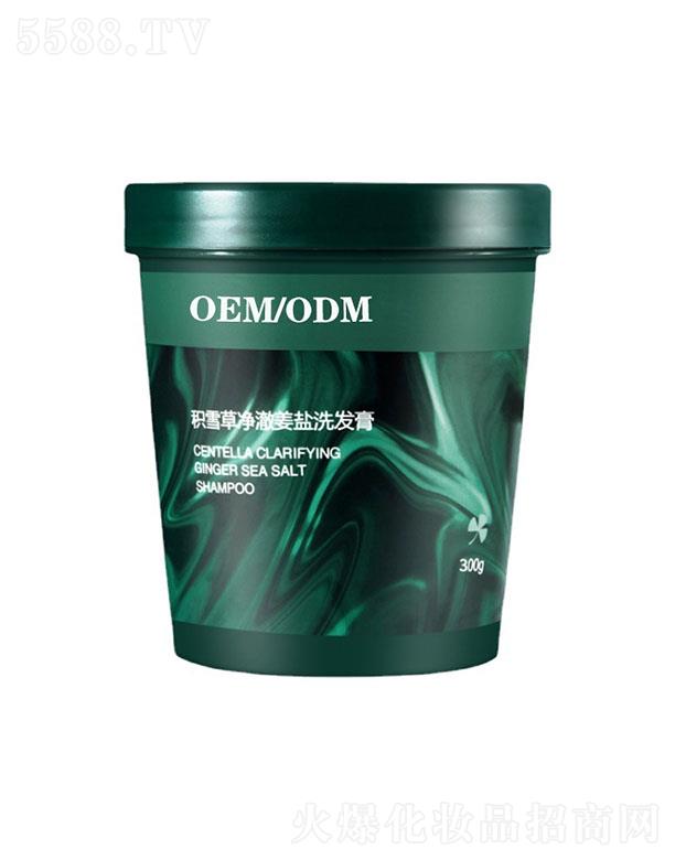 �V�|����Ԋ�eѩ�݃������}ϴ�l(f��)�� 300g