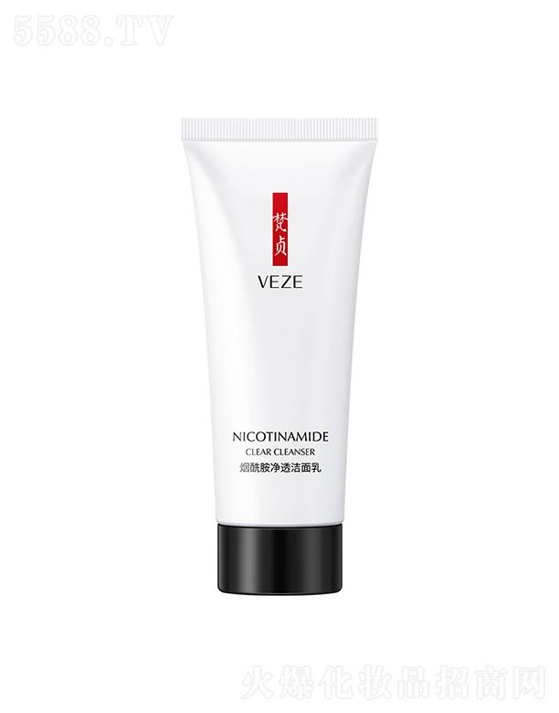 �V���А�(��i)ɏ  ��ؑ��������͸������  ����坍   ���o��