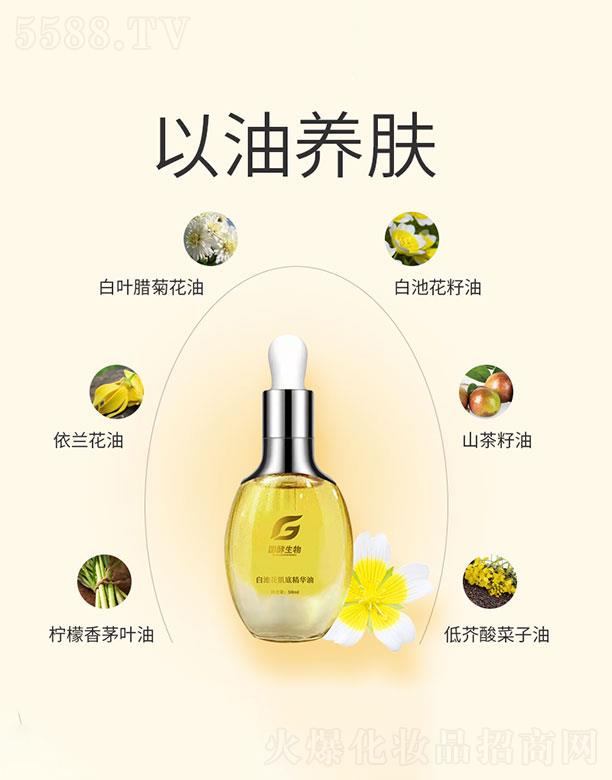 ��������   ��������׳ػ����׾��A��   �������o