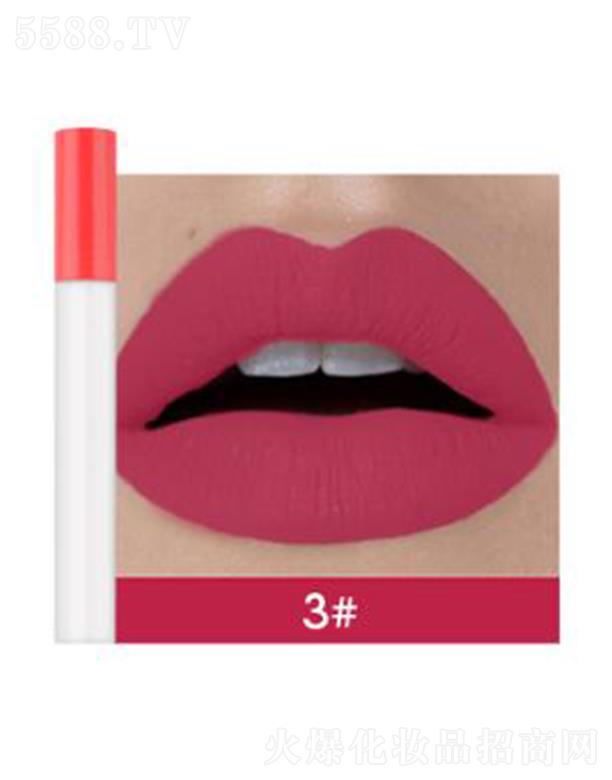 �ޱ��մ������3#