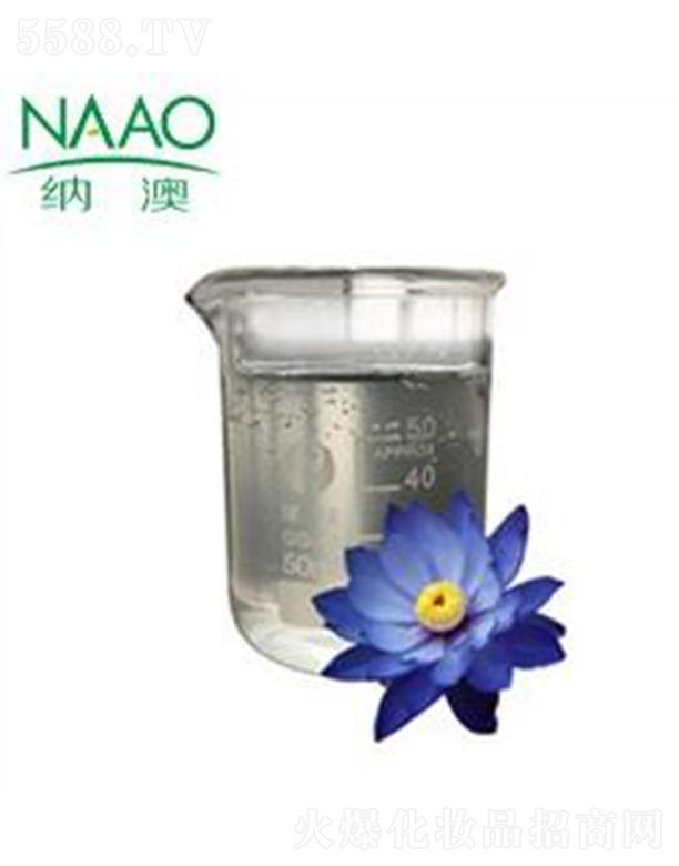 �{��̩��(gu��)�{(l��n)ɏ����¶ �͜����s