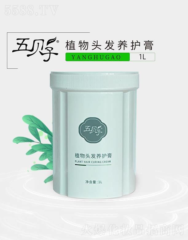 ��ؐ��ֲ���^�l(f��)�B(y��ng)�o�� 1L���l(f��)���ů�B(y��ng)�^Ƥ