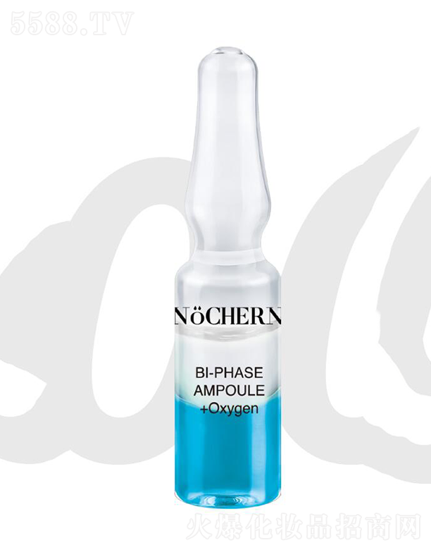 NOCHERN�����{����Сը��  �̝����w