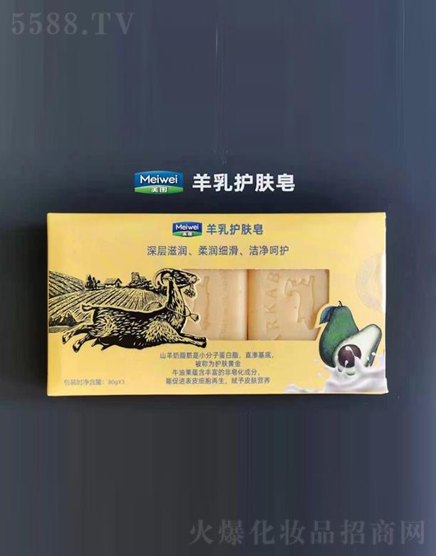 ���������o�w��