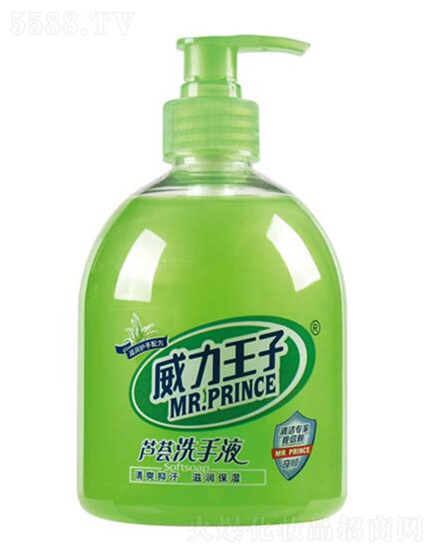 ���������J�C���wϴ��Һ 500��