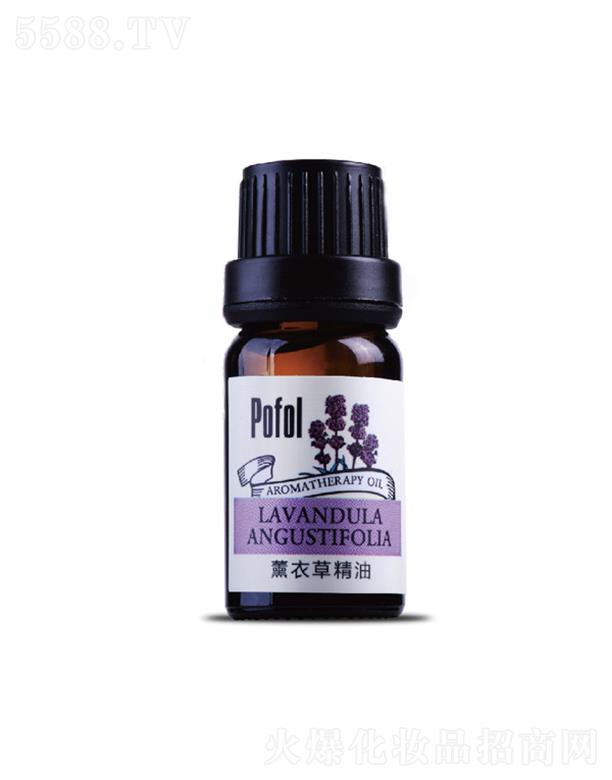 ��ܽ޹�²ݾ���