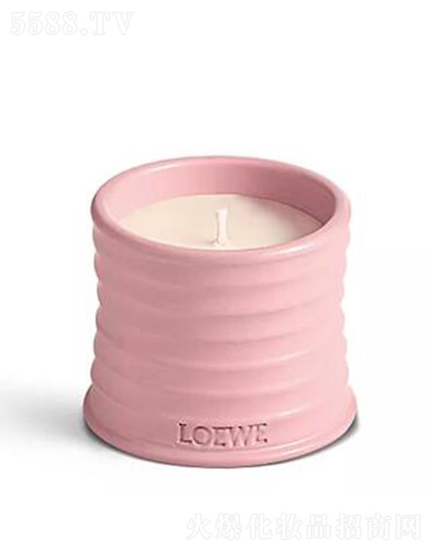 �_�����������㾫Ϟ�T