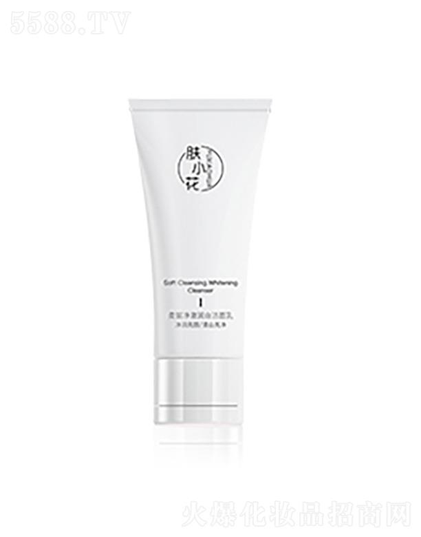 �wС����������(r��n)�ם����� 100g