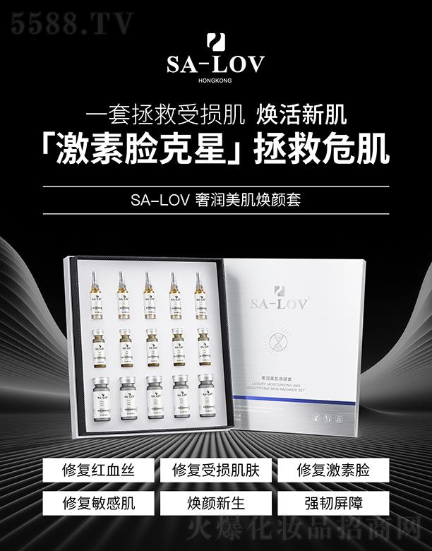 SA-LOV�ݝ����������