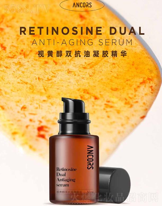 ANCORSҕ�S���p�������z���A