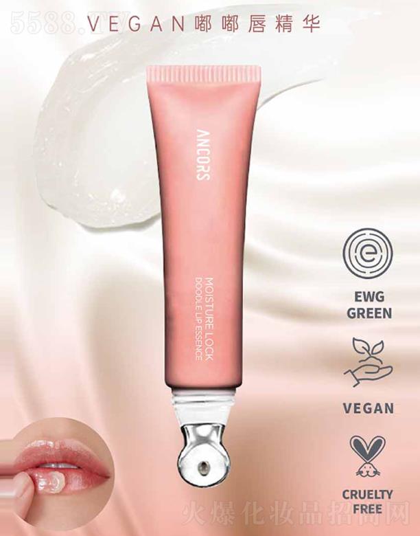 ANCORS-VEGAN�ུ����A