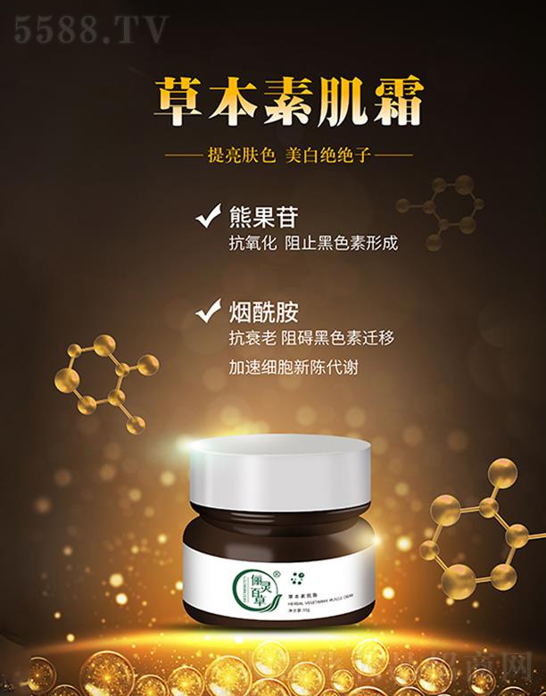 ���`�ٲݲݱ��ؼ�˪