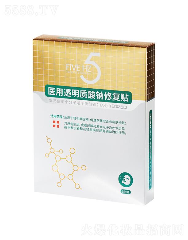 ���Ɲ�t(y��)��͸���|���c�ޏ��N