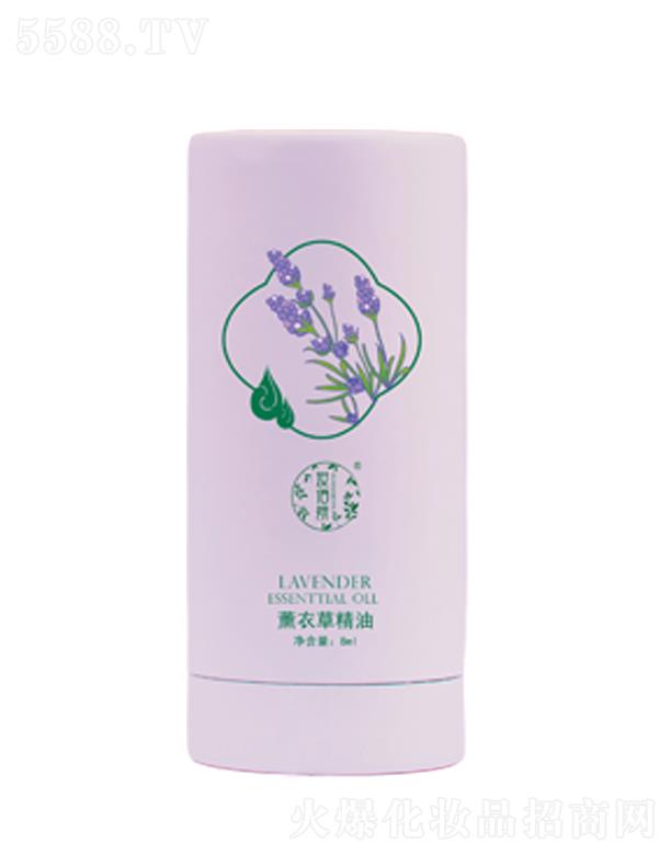 �y����޹�²ݾ���