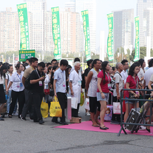 2019�������I(y��)���[�����𱬾W(w��ng)�F�����������