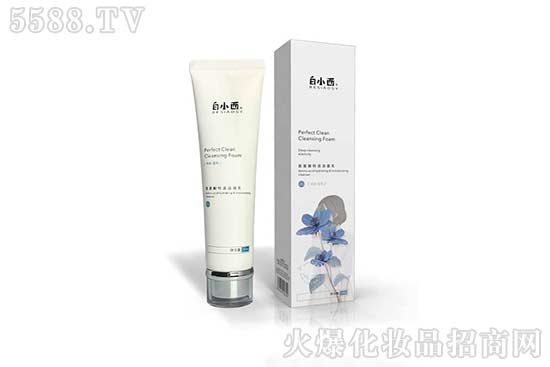 ��С�������ᝍ����