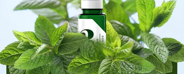 �ł��ط���|÷���AҺ