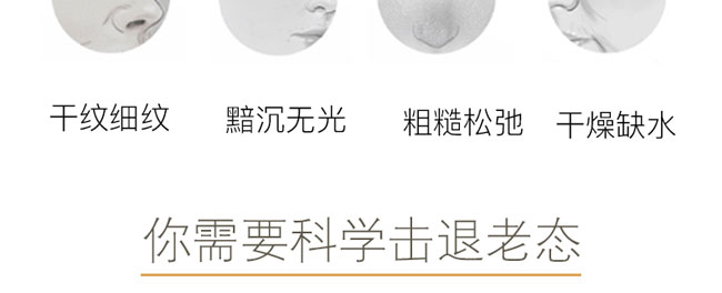 �����߶������o(h��)ԭҺ