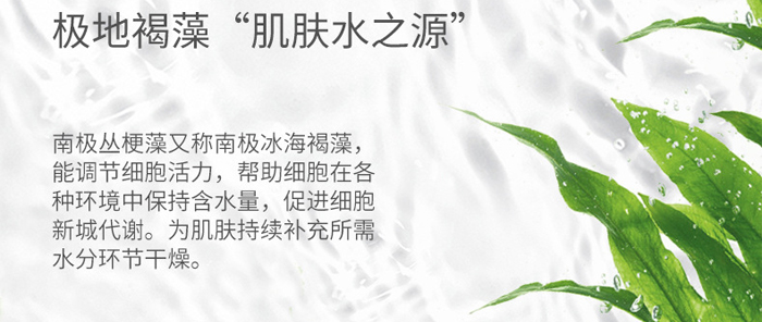 �������弡��Ĥ