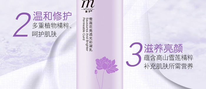 �S�c�ʗ�ѩɏ����͸�������_(k��i)07