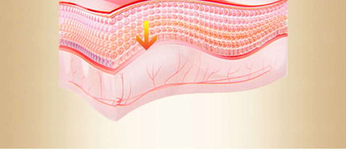 �������͸��(r��n)��˪20g