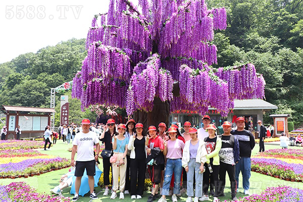 ���h�F�@�Ͼ�ɽ���y�������֮��