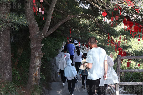 ���g�ɾ������W֮��