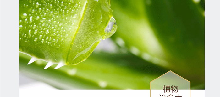 ؐ��ޱԊ(sh��)�������R���a(b��)ˮ�ޏ�(f��)���A