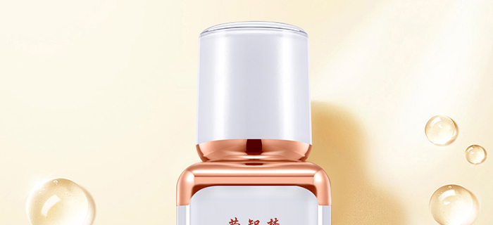 ���ǉ��ɼ���͸�B(y��ng)�o(h��)��