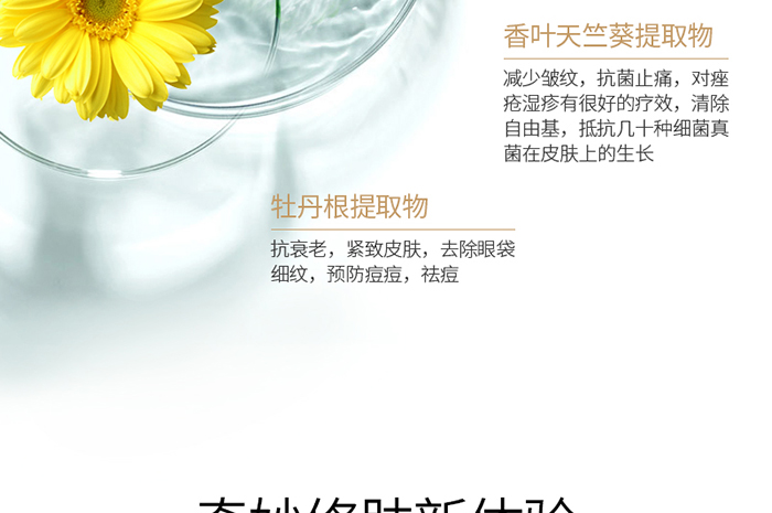 �����˪_13