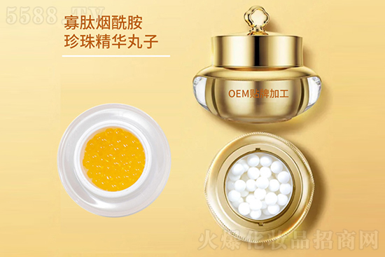 �ğ��������龫�A����